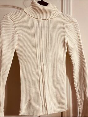 Madewell Ivory Ribbed Turtleneck Sweater